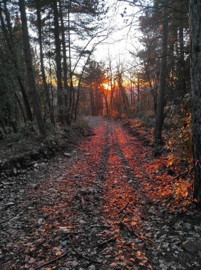 Agriturismo Tassinaia Pontassieve Zewnętrze zdjęcie