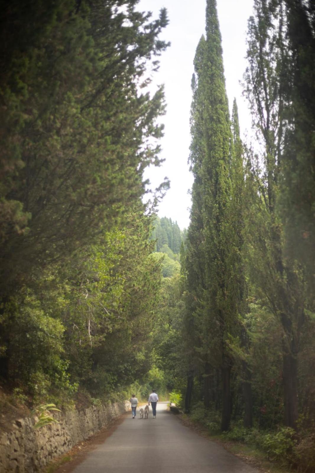 Agriturismo Tassinaia Pontassieve Zewnętrze zdjęcie