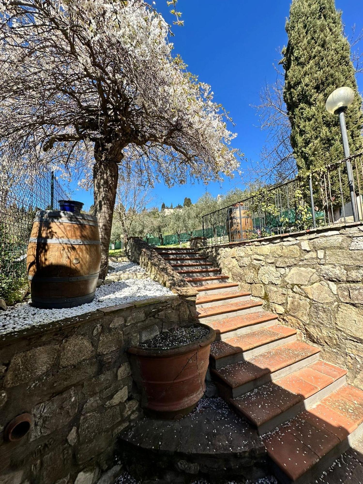 Agriturismo Tassinaia Pontassieve Zewnętrze zdjęcie