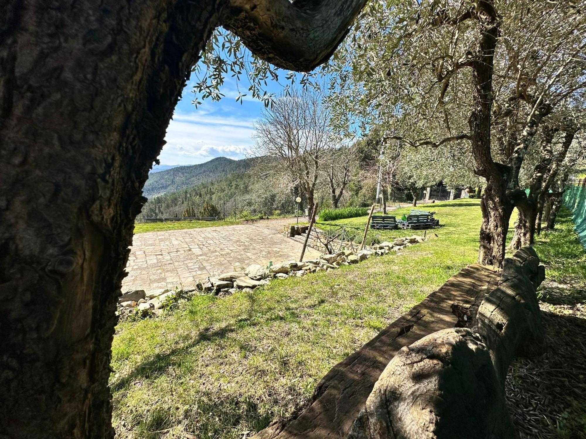 Agriturismo Tassinaia Pontassieve Zewnętrze zdjęcie