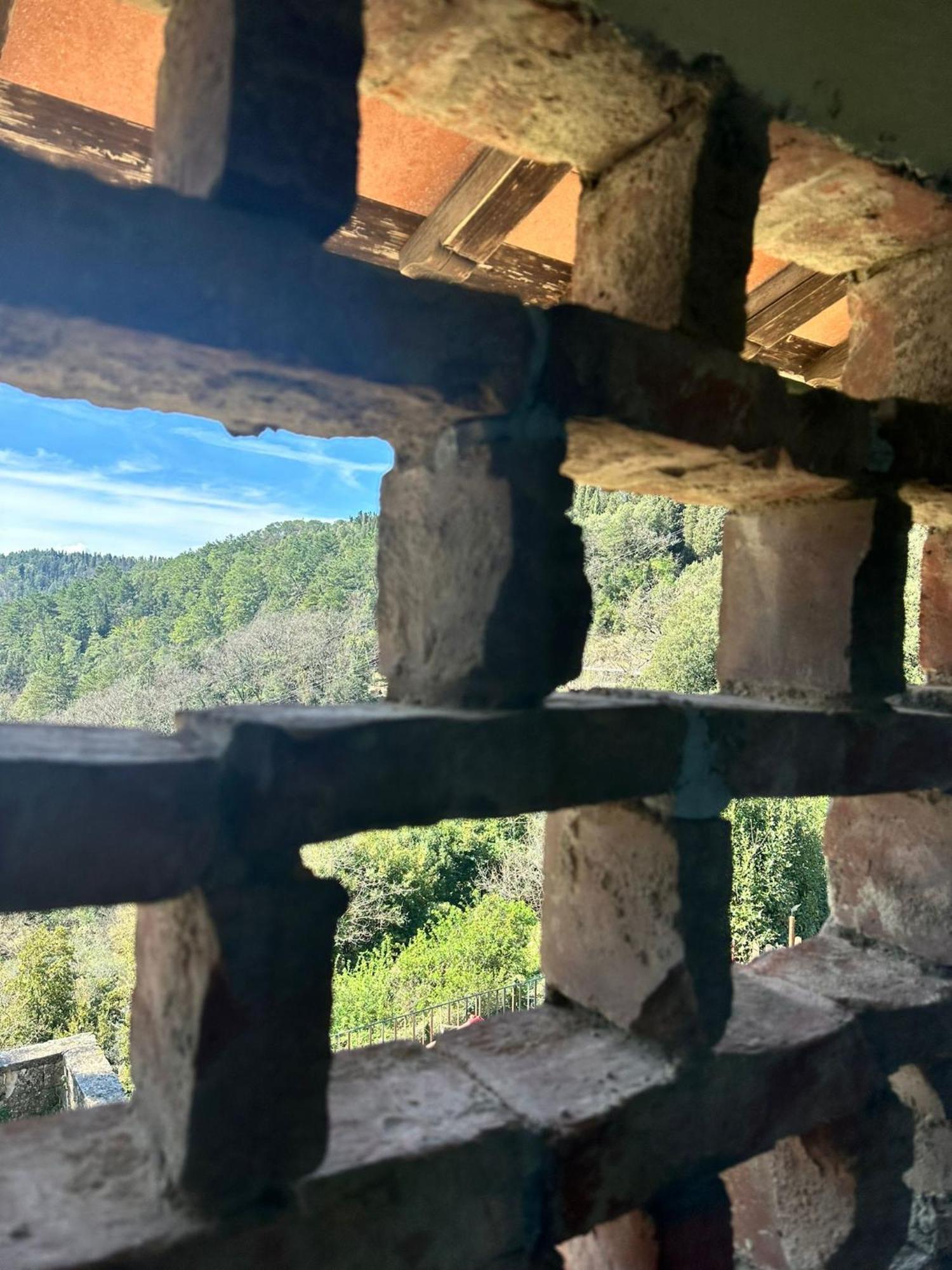 Agriturismo Tassinaia Pontassieve Zewnętrze zdjęcie