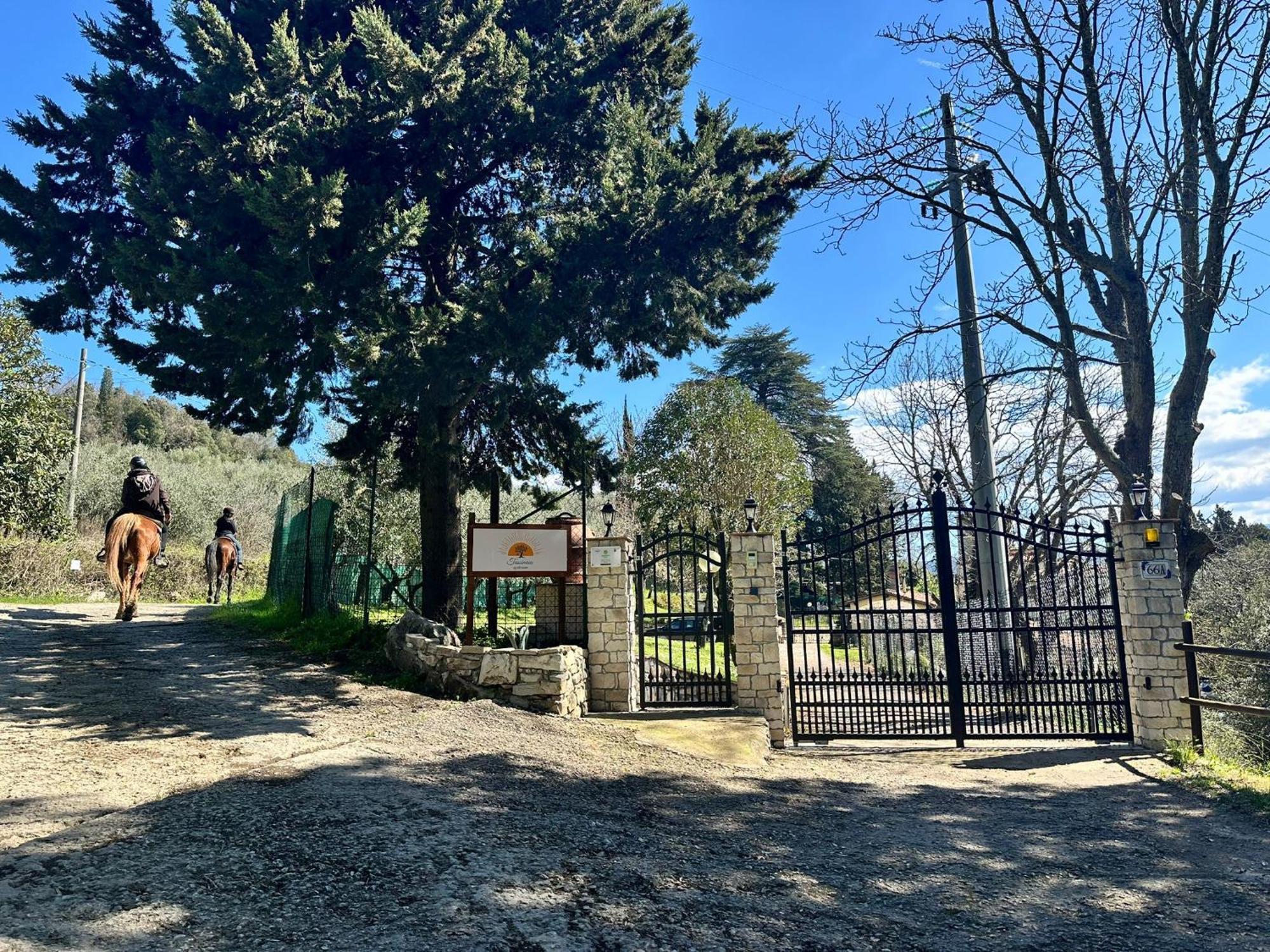 Agriturismo Tassinaia Pontassieve Zewnętrze zdjęcie