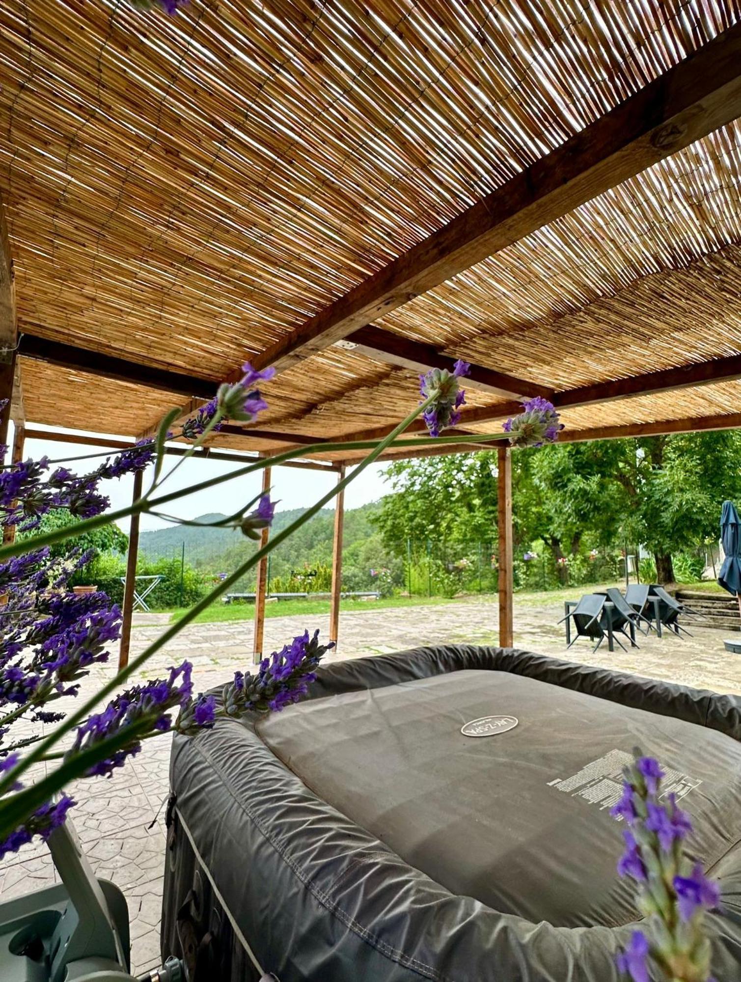 Agriturismo Tassinaia Pontassieve Zewnętrze zdjęcie